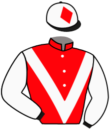 Casaque de HOLSTOMER