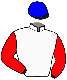 Casaque de GIAVA WISE L