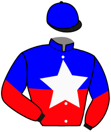 Casaque de LORD DE LA FUTAIE