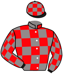 Casaque de DOUBLE EFFECT