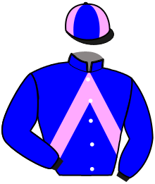 Casaque de INTREPIDE DES BOIS