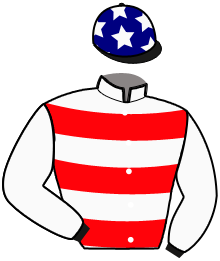 Casaque de LANNISTER