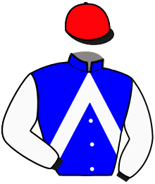 Casaque de HEROIC DES BOSC