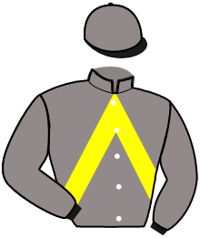 Casaque de FEMTO DE VAUVERT