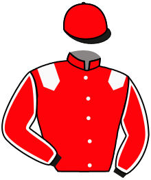 Casaque de BEAUTIFUL MEMORY