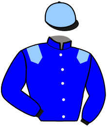 Casaque de MANHATTAN TWIST