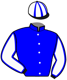 Casaque de NOBLESSE ACE