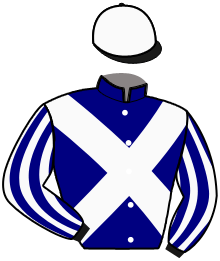 Casaque de MISTER TROT