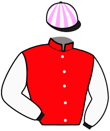 Casaque de MANDARINE BAM