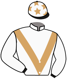 Casaque de SPRING WAY