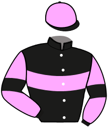 Casaque de NEW DESTIN