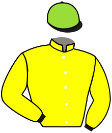 Casaque de PERFECT MOON