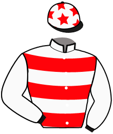 Casaque de NEW YORK CITY