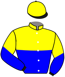 Casaque de THE TOP GATSBY