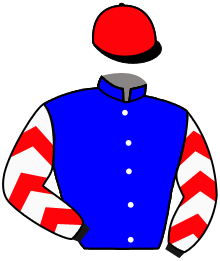 Casaque de GOLDEN CALL