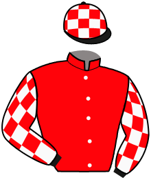 Casaque de VOLUNTEER HERO