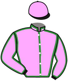 Casaque de NO GUTS NO GLORY