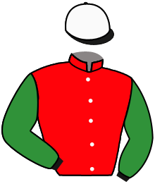 Casaque de TRIOMPHE DES BOIS