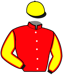 Casaque de NIGHT DRESS