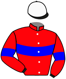 Casaque de MASTER VILLE