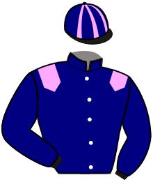 Casaque de MALAVITA ROSA