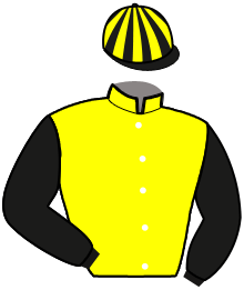 Casaque de LOUSTIC HERBLINAIE