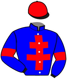 Casaque de MICHIGAN BLUE