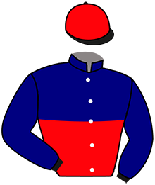 Casaque de HULK SUN DRALIAM