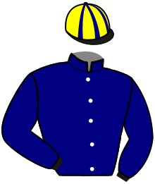 Casaque de LIONEL DU DERBY