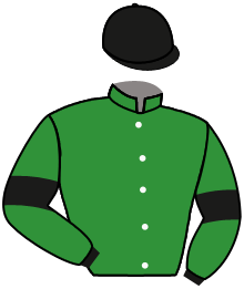 Casaque de SPARKS FLY