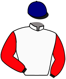 Casaque de NAZGUL BLOU