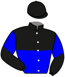 Casaque de LUNA SAN LEANDRO