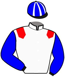 Casaque de L'ARTISTE D'AVENIR