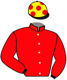 Casaque de MONIE EFJI