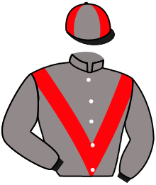 Casaque de REAL SOCIEDAD