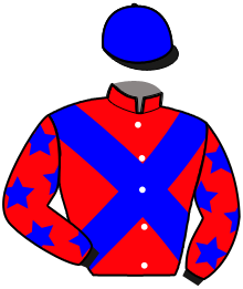 Casaque de KHALEESI D'ALESA