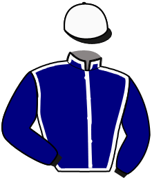 Casaque de HERMES EXPRESS