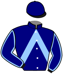 Casaque de IXELLE BLEUE