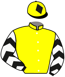 Casaque de OSAXALINA