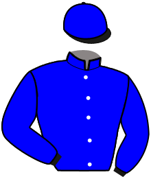 Casaque de EK DEL RONCO