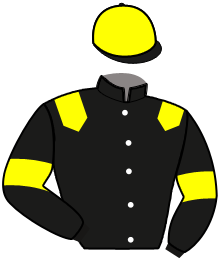 Casaque de NASTREE DU VINOIS