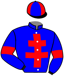 Casaque de PETRUS DE HOUELLE