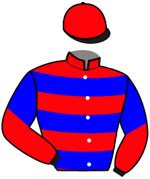 Casaque de KISS COOL MIJACK