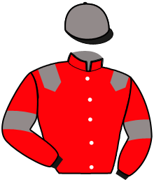 Casaque de HIGOR DAIRPET