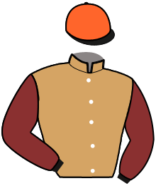 Casaque de GAUDI TIT