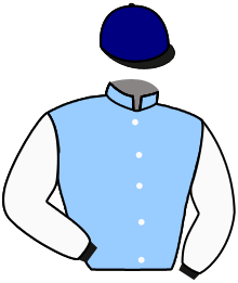 Casaque de SWIFT FLIGHT