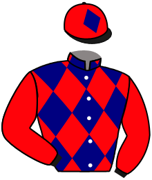 Casaque de DSCHINGIS RUN