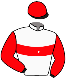 Casaque de HOLY WOODED