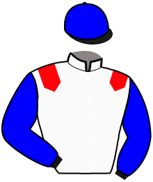 Casaque de MOZART D'HAVAROCHE