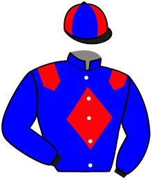 Casaque de BIRCHPACOLAURGREEN